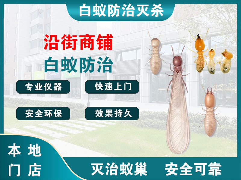 西湖区沿街商铺白蚁防治