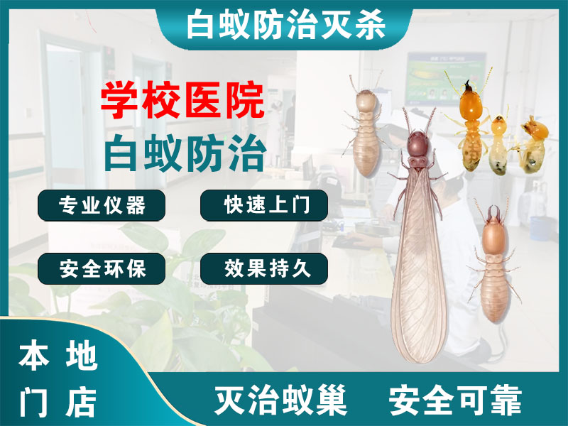 西湖区学校医院白蚁防治