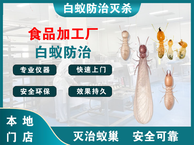 西湖区食品加工厂白蚁防治