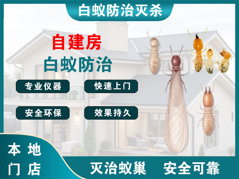 西湖区自建房白蚁防治