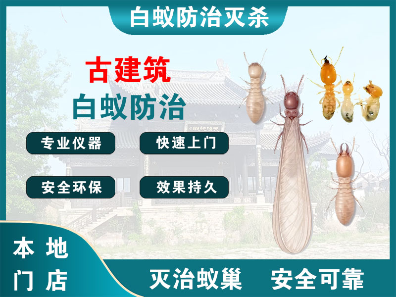 西湖区古建筑白蚁防治
