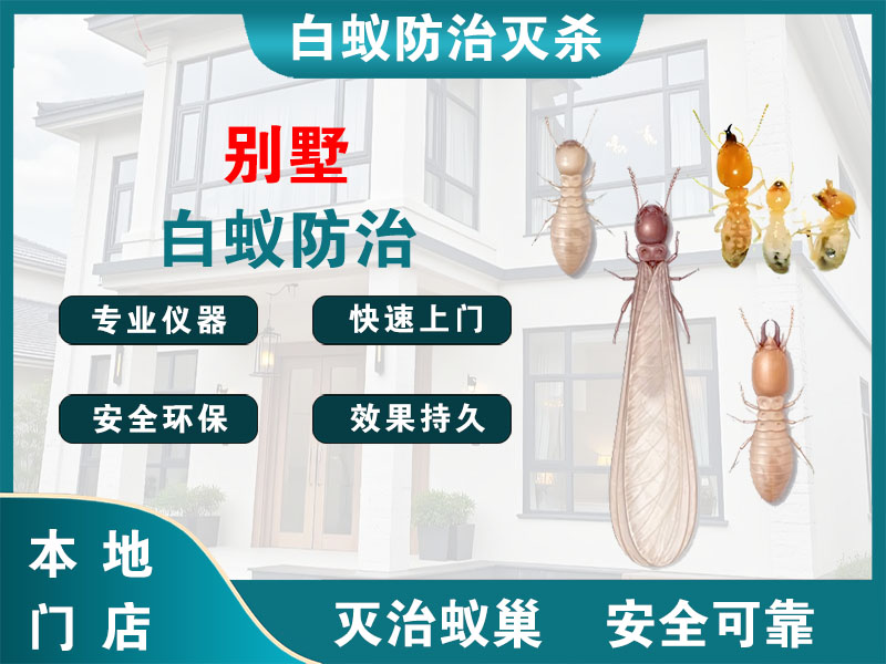 西湖区别墅白蚁防治
